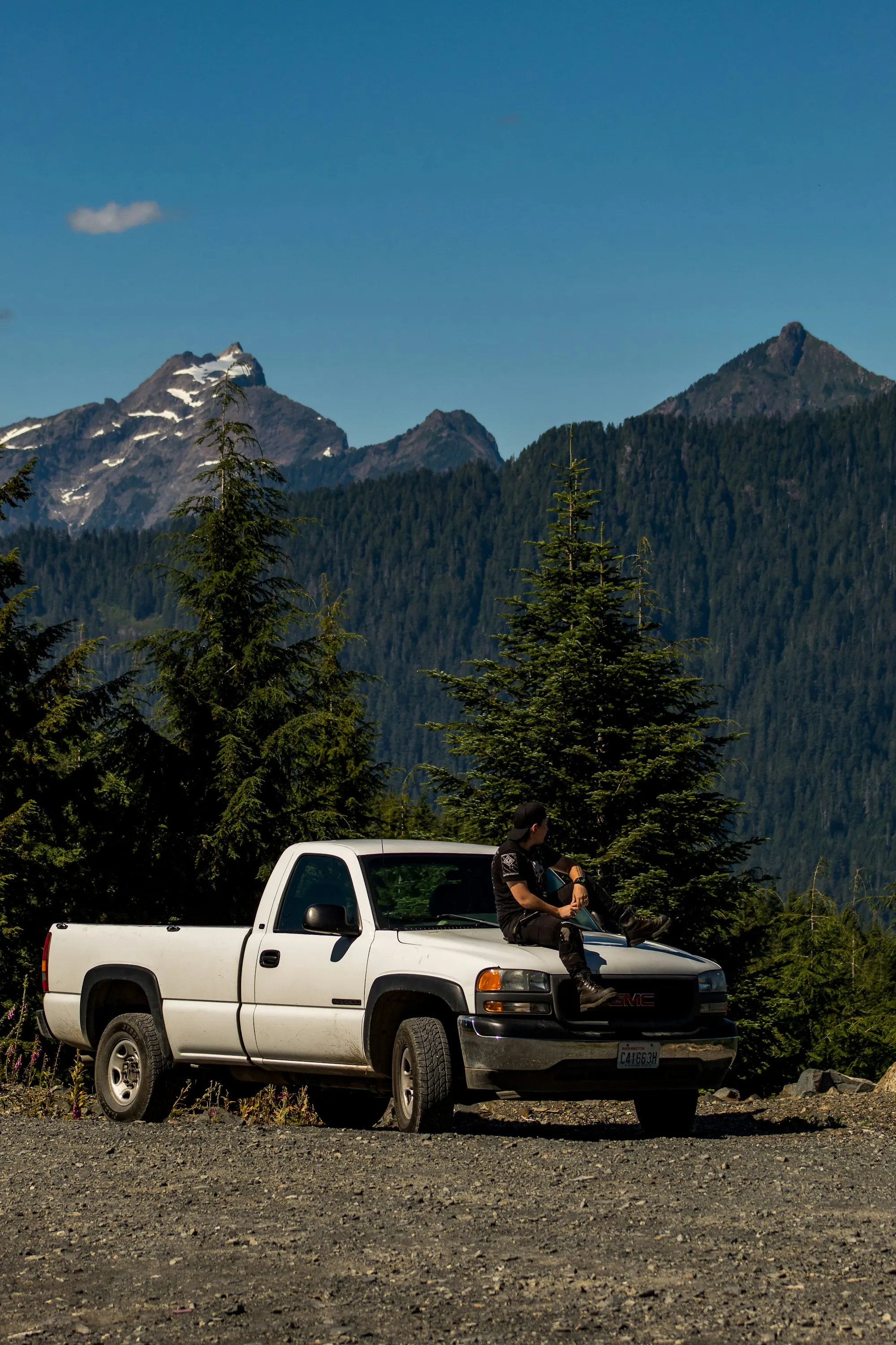 Diesel pickup truck parked beside pine trees below mountains