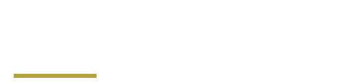 Nederland Auto Repair logo
